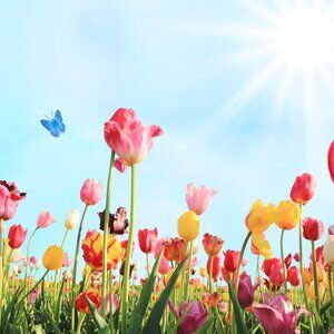 COPY - Low start item unlisted